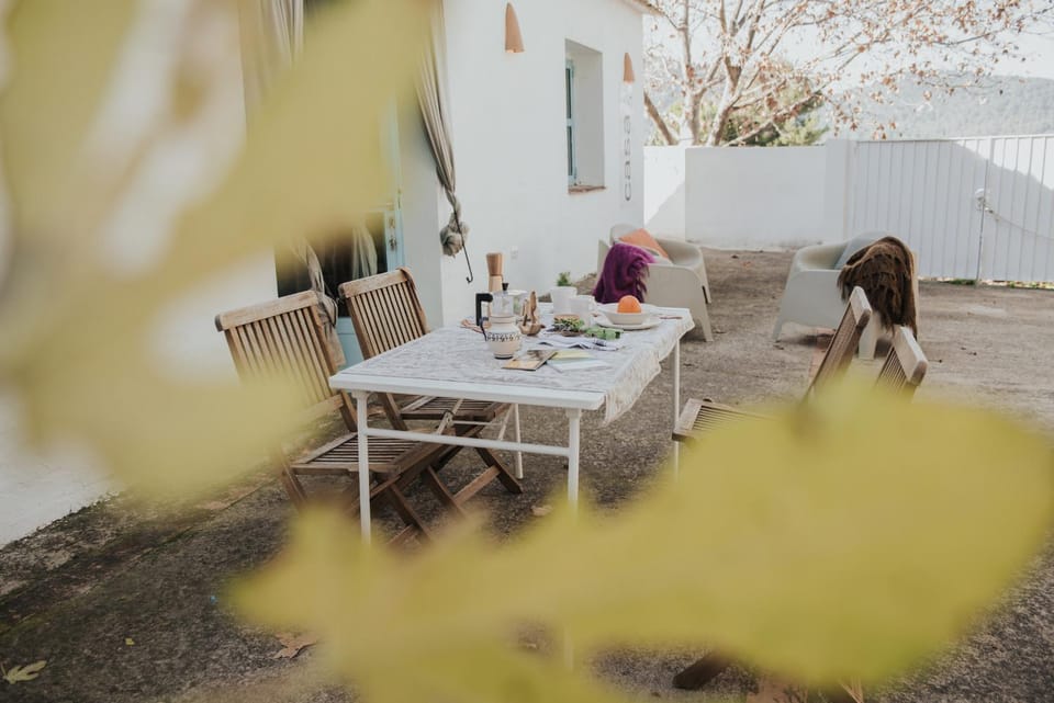 Patio, Day