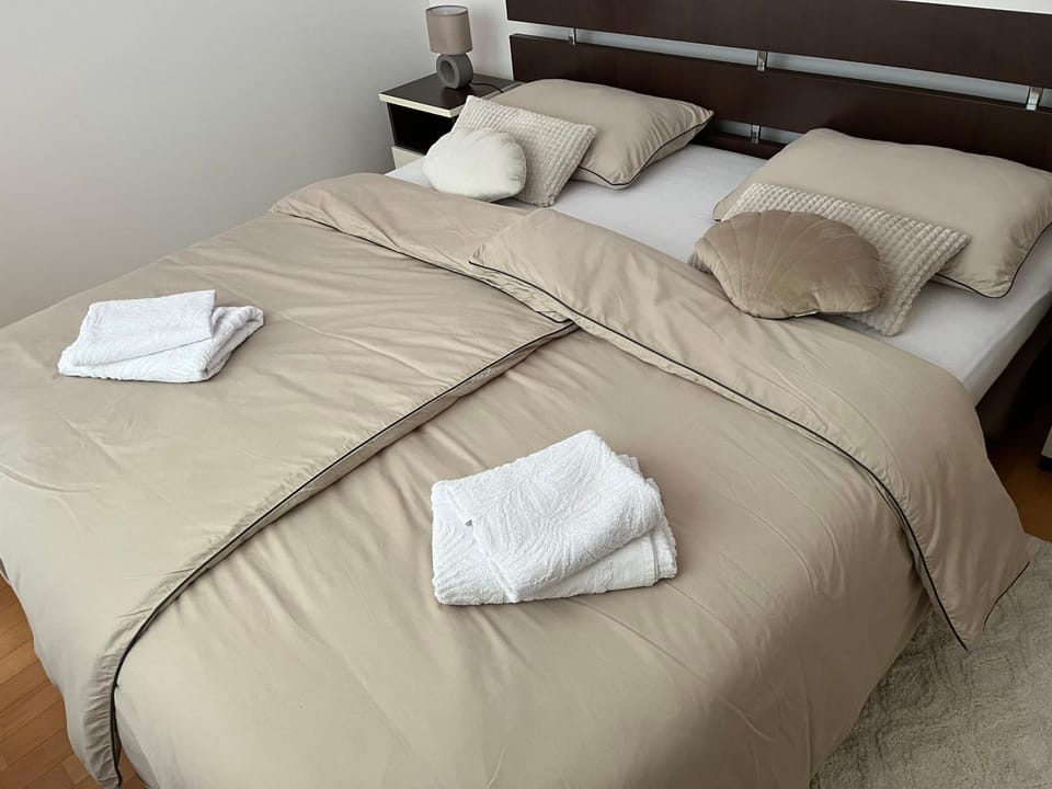 De lux Do Apartment in City of Zagreb