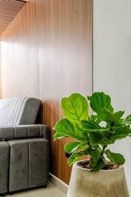 Exclusivo apartamento de 1hab en Pereira - Excelente ubicación Apartment in Pereira