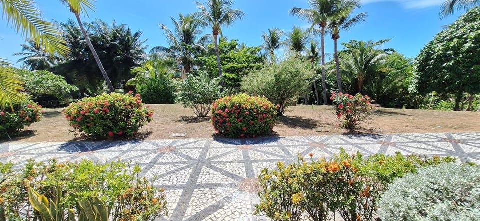Day, Natural landscape, Garden, Garden view