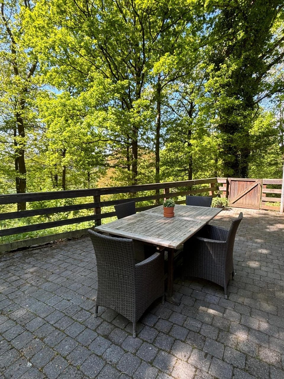 Patio, Natural landscape, Dining area