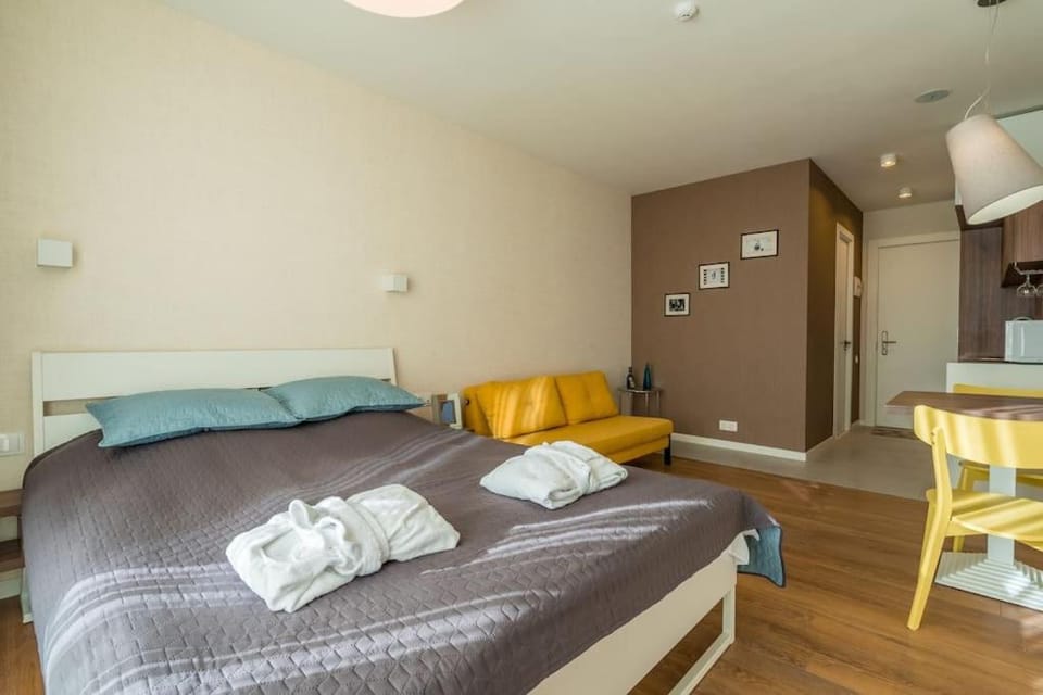 New Gudauri Studio near main Gondola lifts Apartment in Georgia