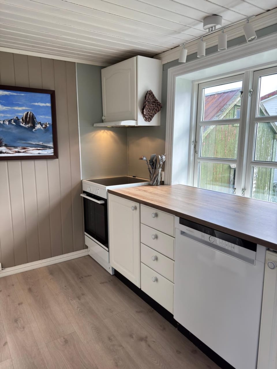 dishwasher, stove, kitchen