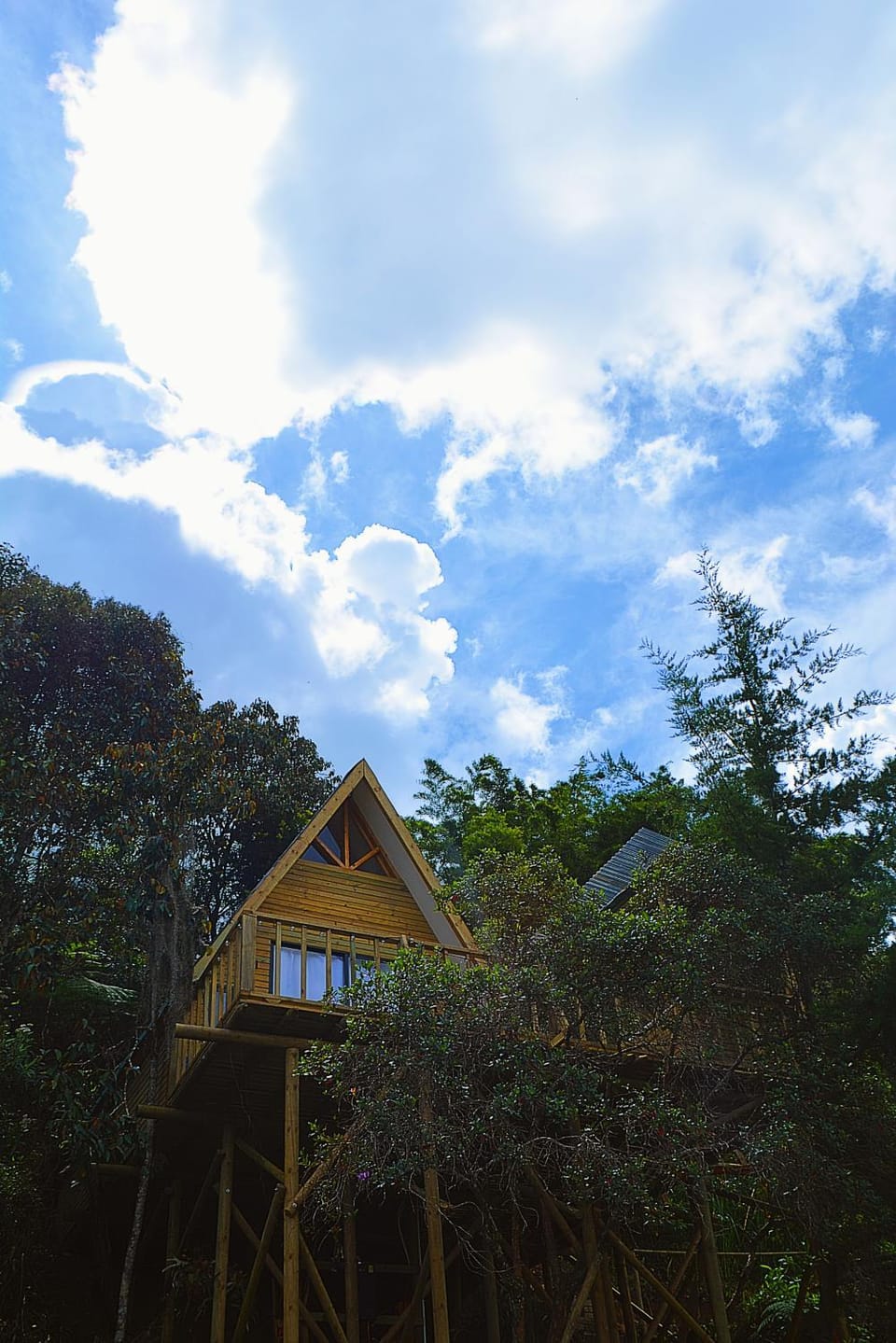 Property building, Spring, Natural landscape, Garden, Garden view