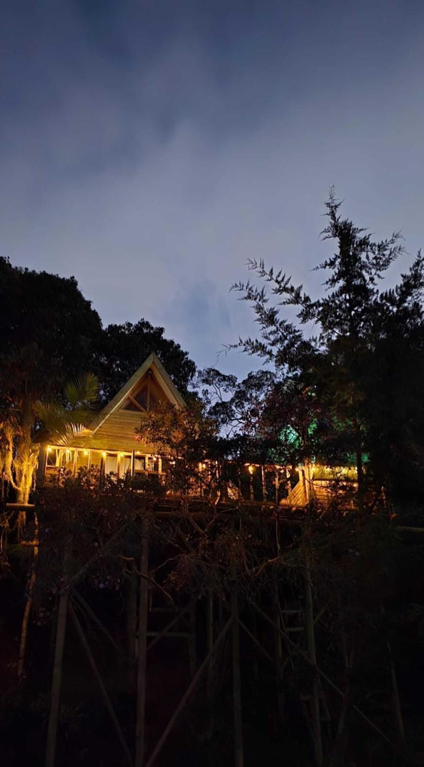 Off site, Night, Natural landscape