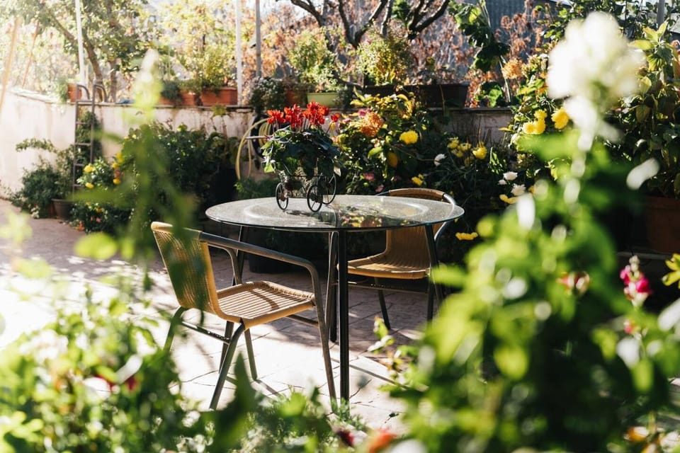 Patio, Spring, Day, Garden, Dining area, Garden view