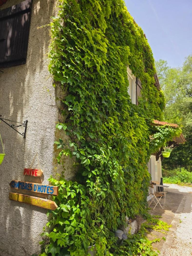 Property building, Spring, Day