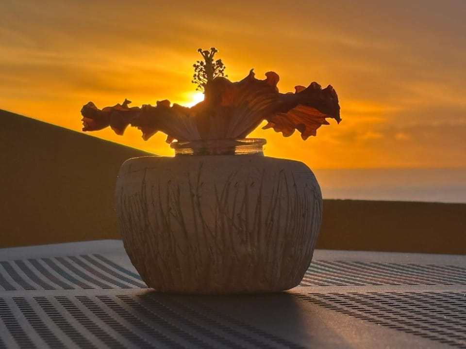 Natural landscape, Sea view, Sunset
