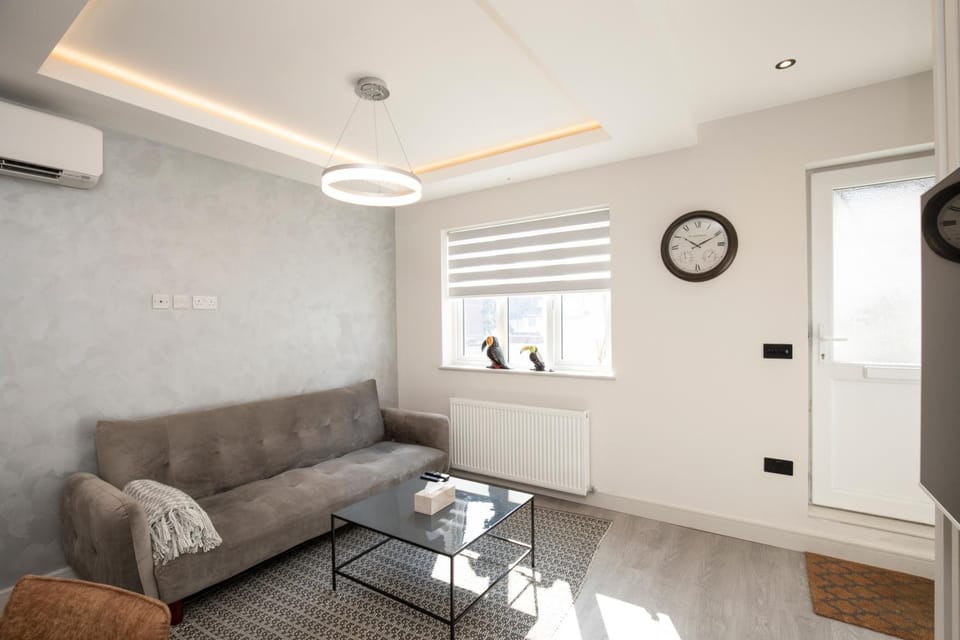 Living room, air conditioner