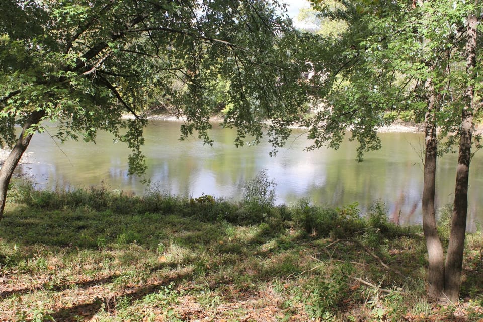 Natural landscape, River view