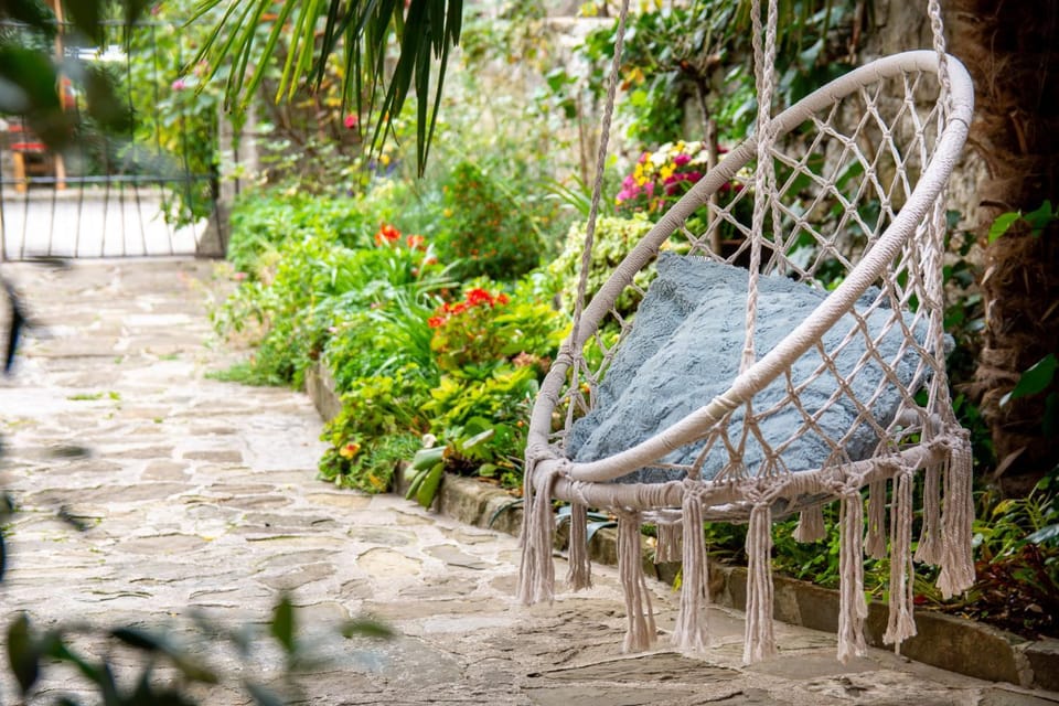 Patio, Natural landscape, Garden, Garden view, Seasons, Inner courtyard view