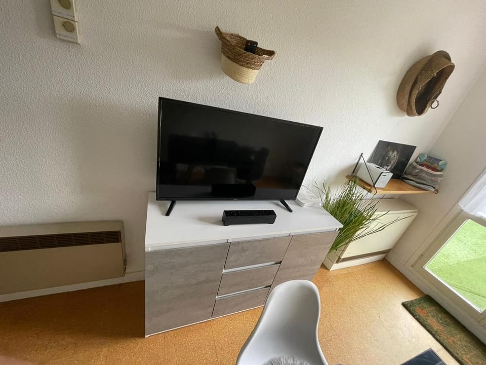 Communal lounge/ TV room, TV and multimedia