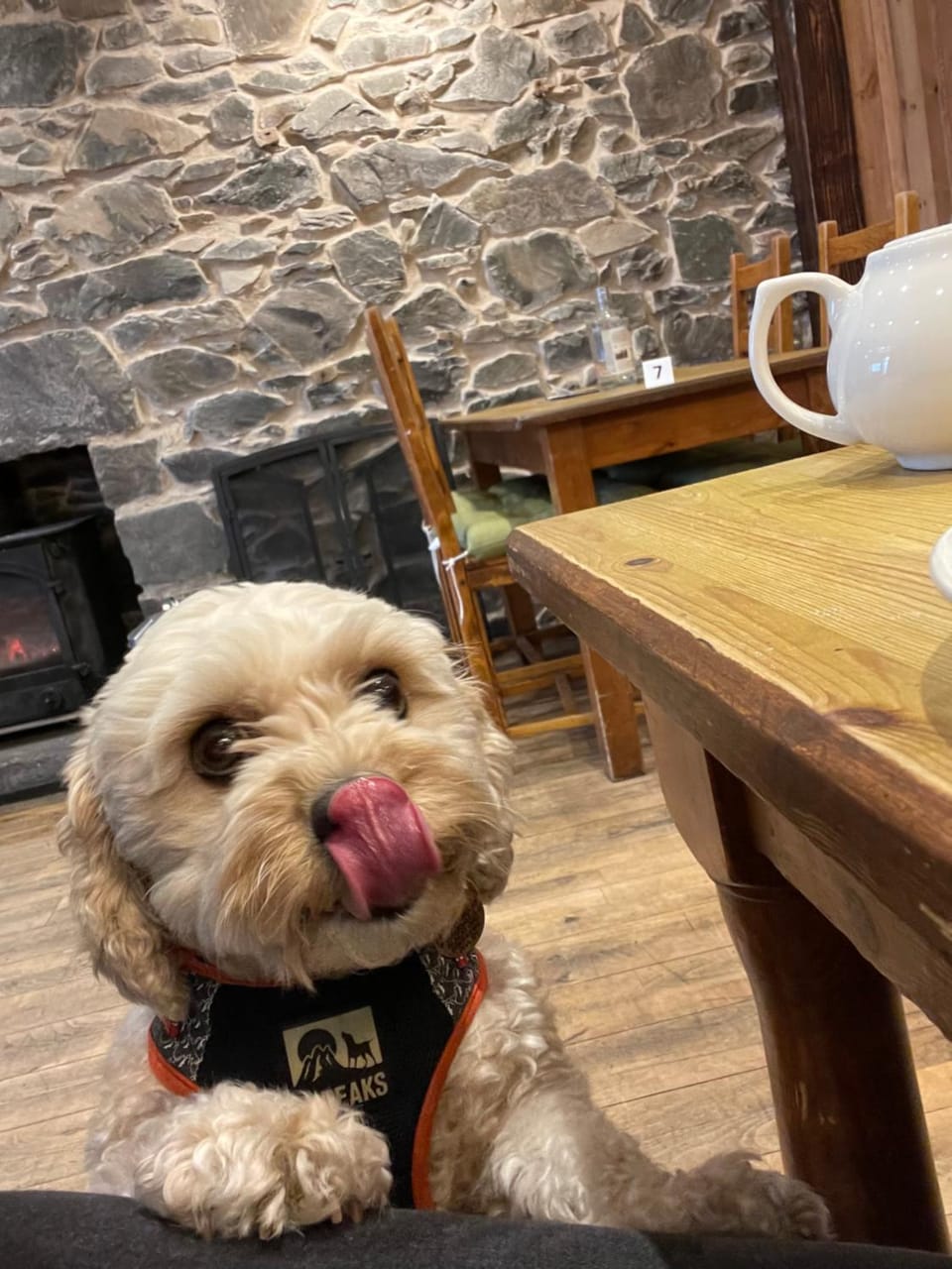 Saucy Mary's Private Rooms & Hostel Hostel in Scotland