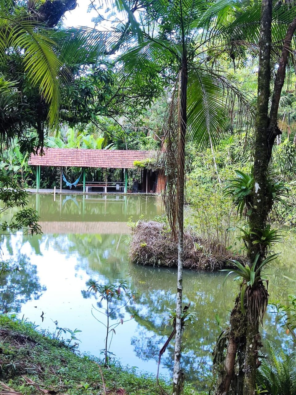 Cabana na Montanha Apartment in State of Paraná