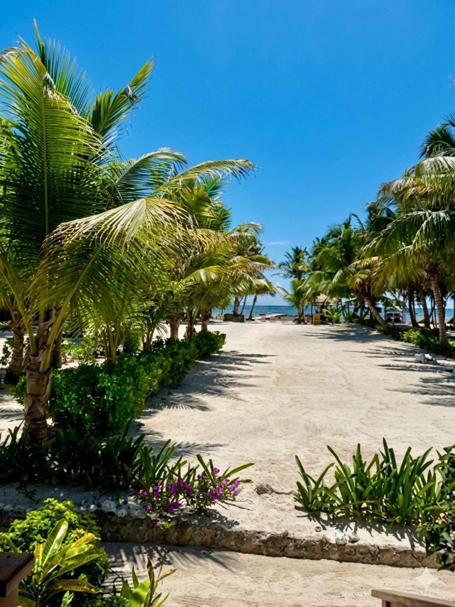 Secluded Beach Villa with Concierge by ALOM Villa in San Pedro