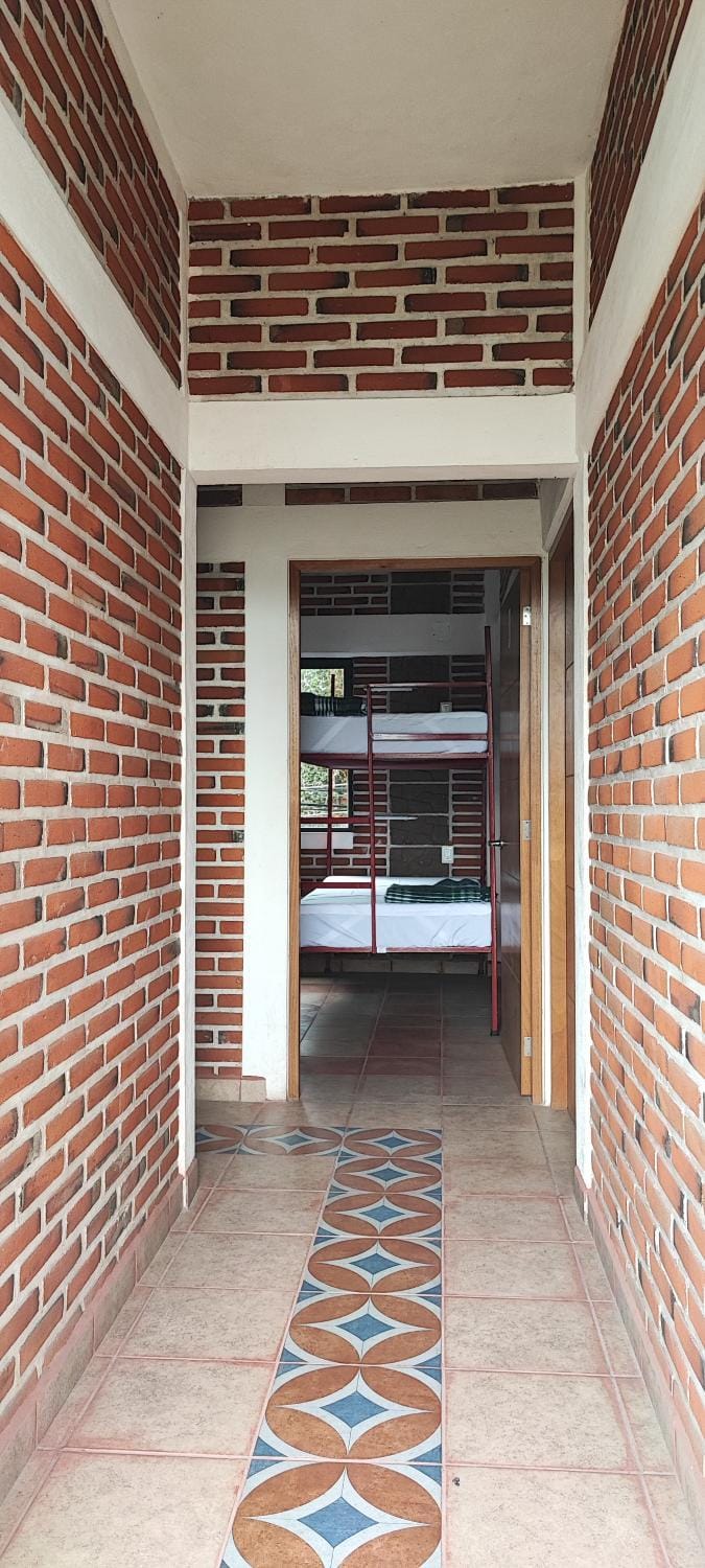 Bed, Bedroom, bunk bed