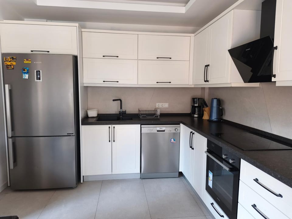 Kitchen or kitchenette, dishwasher, oven, stove