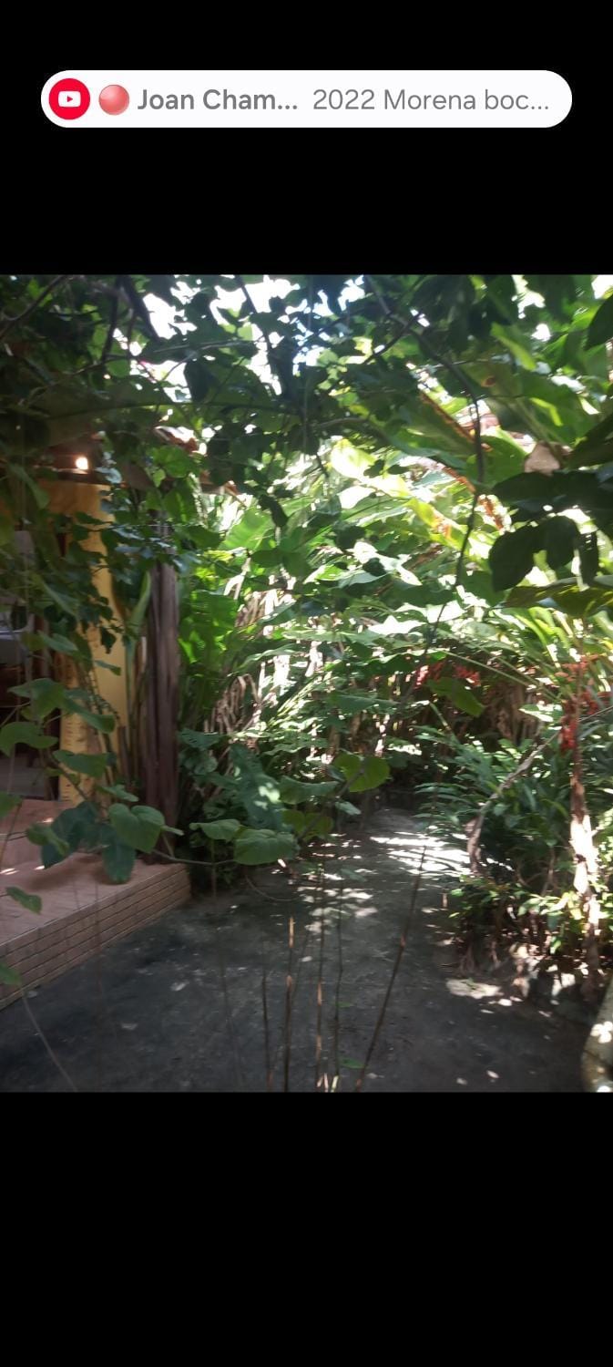 Boipeba Cantinho do Mirko II Apartment in State of Bahia