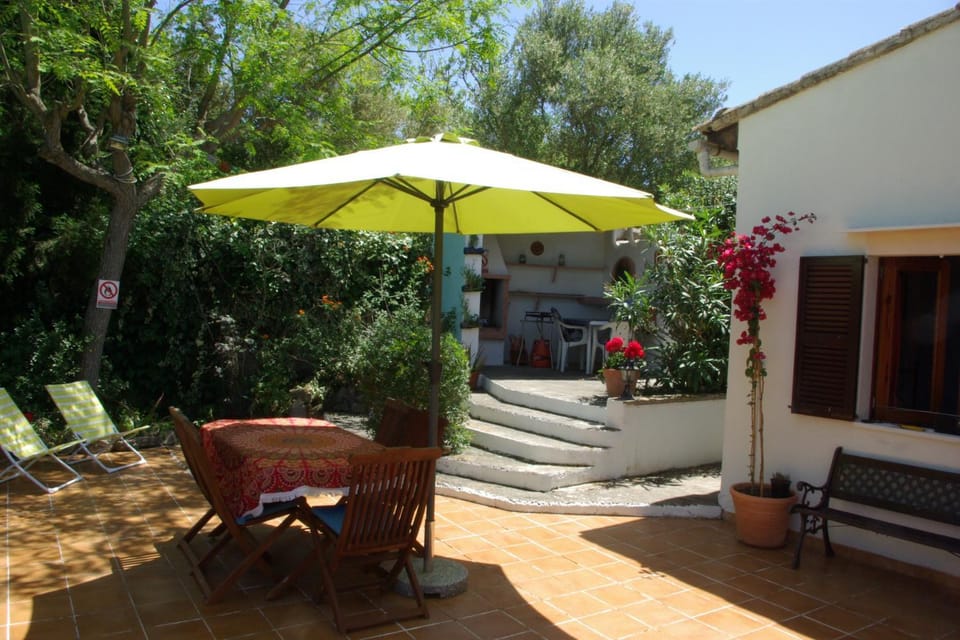 Patio, Garden, Garden view