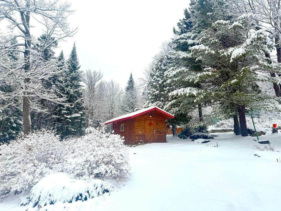Natural landscape, Winter