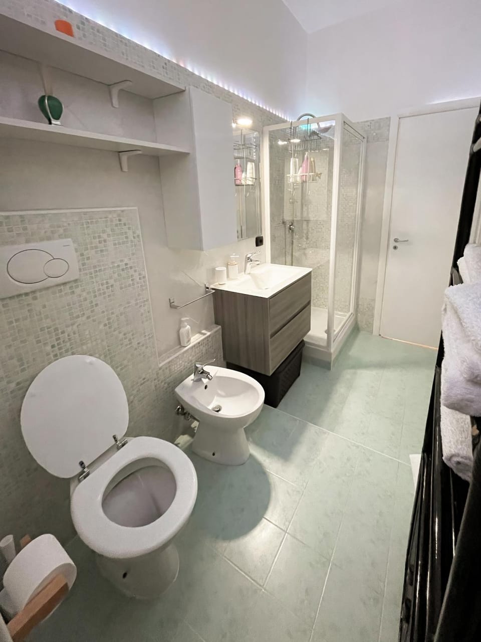 Shower, Toilet, Bathroom, bidet