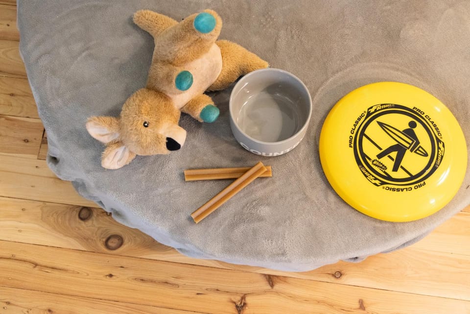 Pets, Pets, Pets, pet friendly, pet friendly