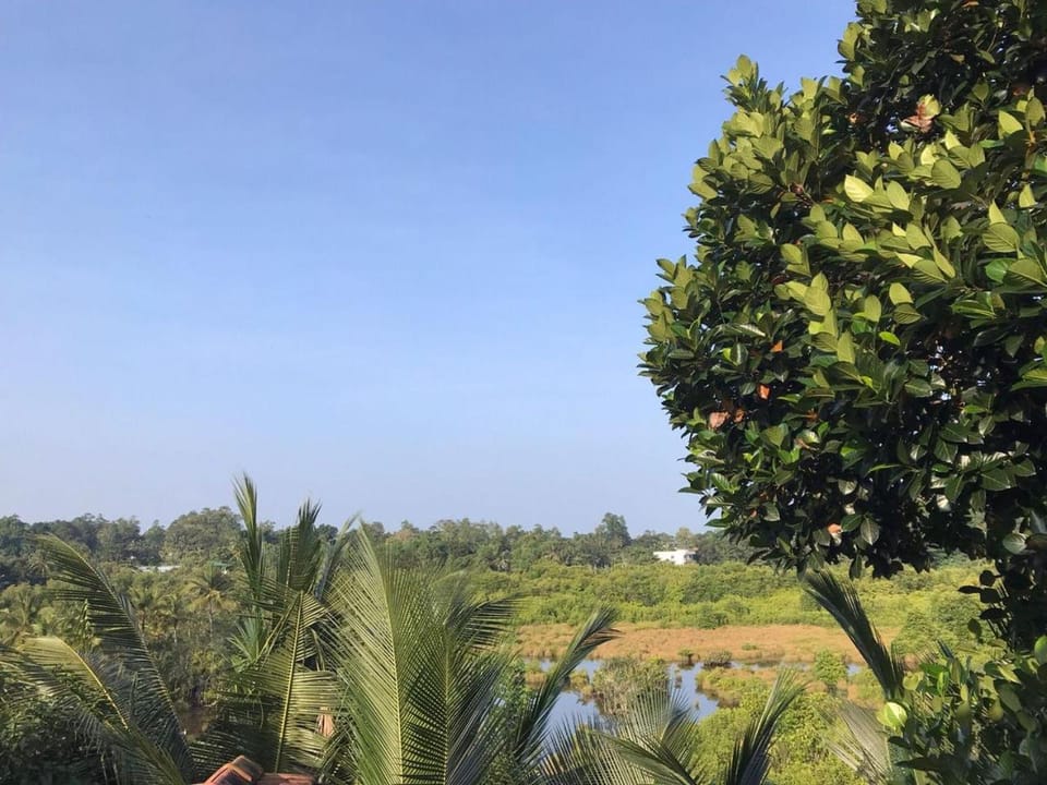 View (from property/room)