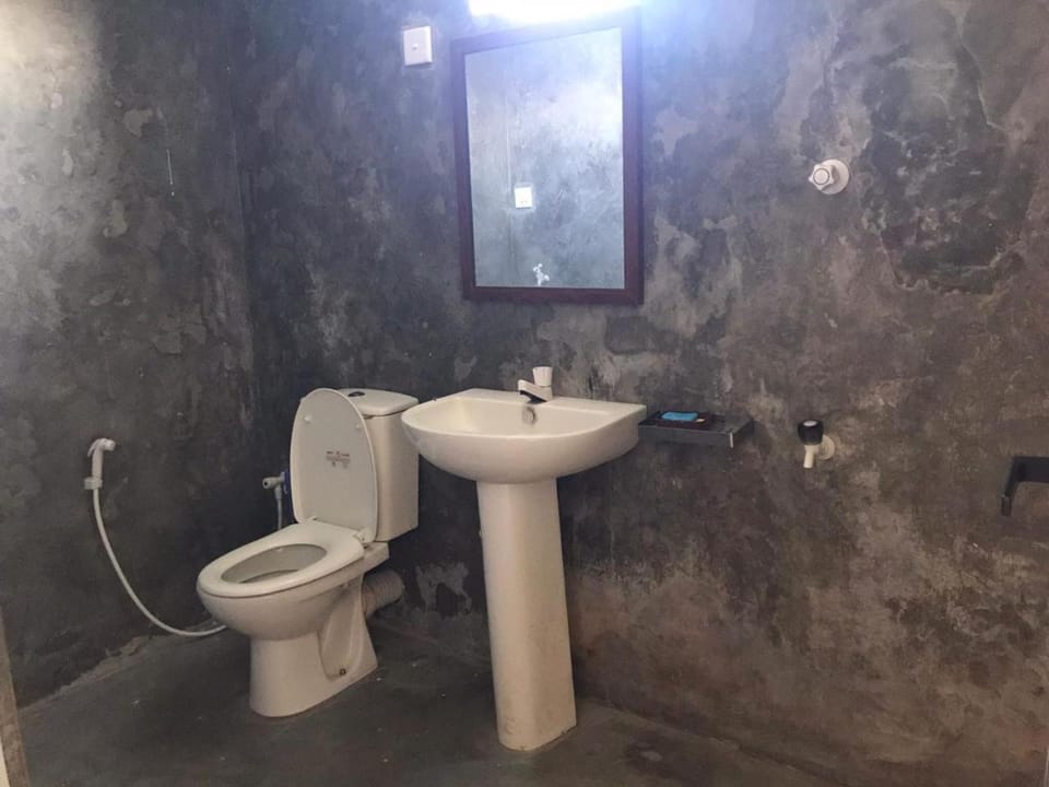 Toilet, Bathroom, bidet