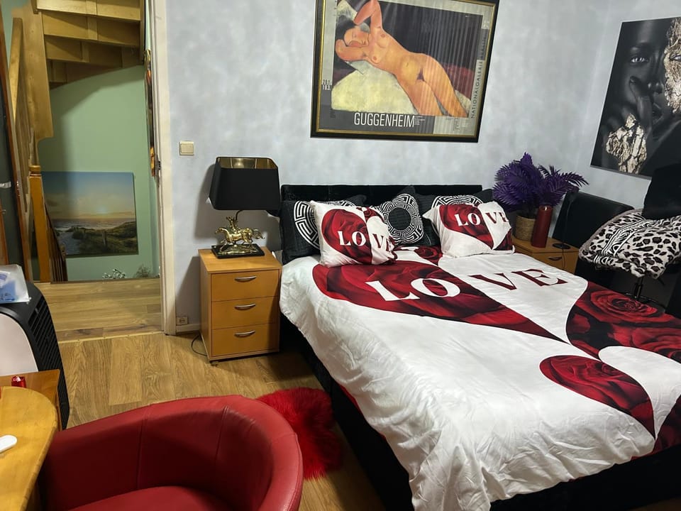 Serenity Big Room Bed and Breakfast in Brussels