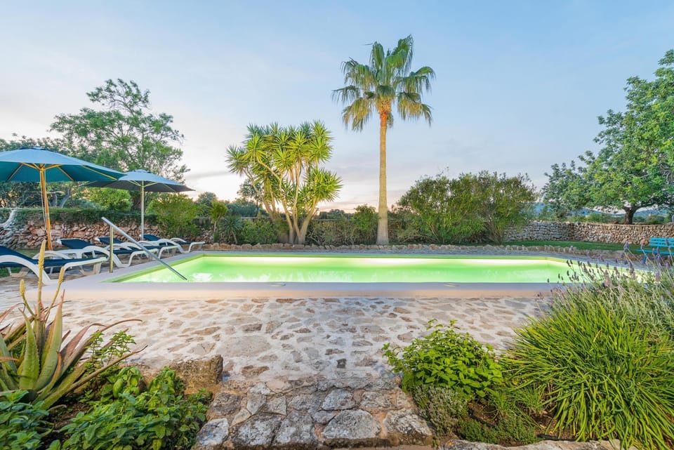 Garden, Other, Swimming pool