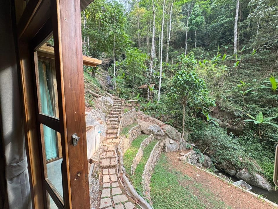 Natural landscape, Garden view