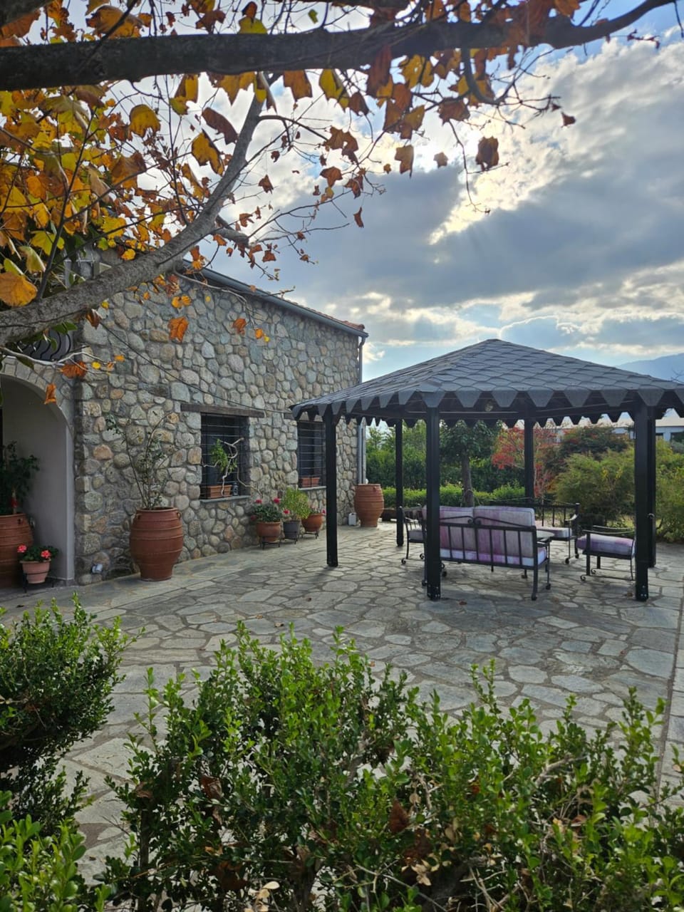 Property building, Garden, Garden view, Garden view, Inner courtyard view
