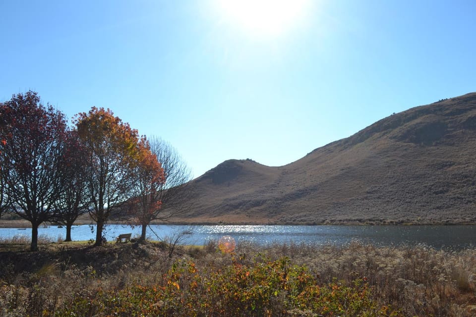 Natural landscape
