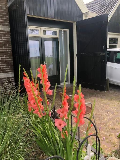 Appartement voor twee personen Apartment in North Holland (province)