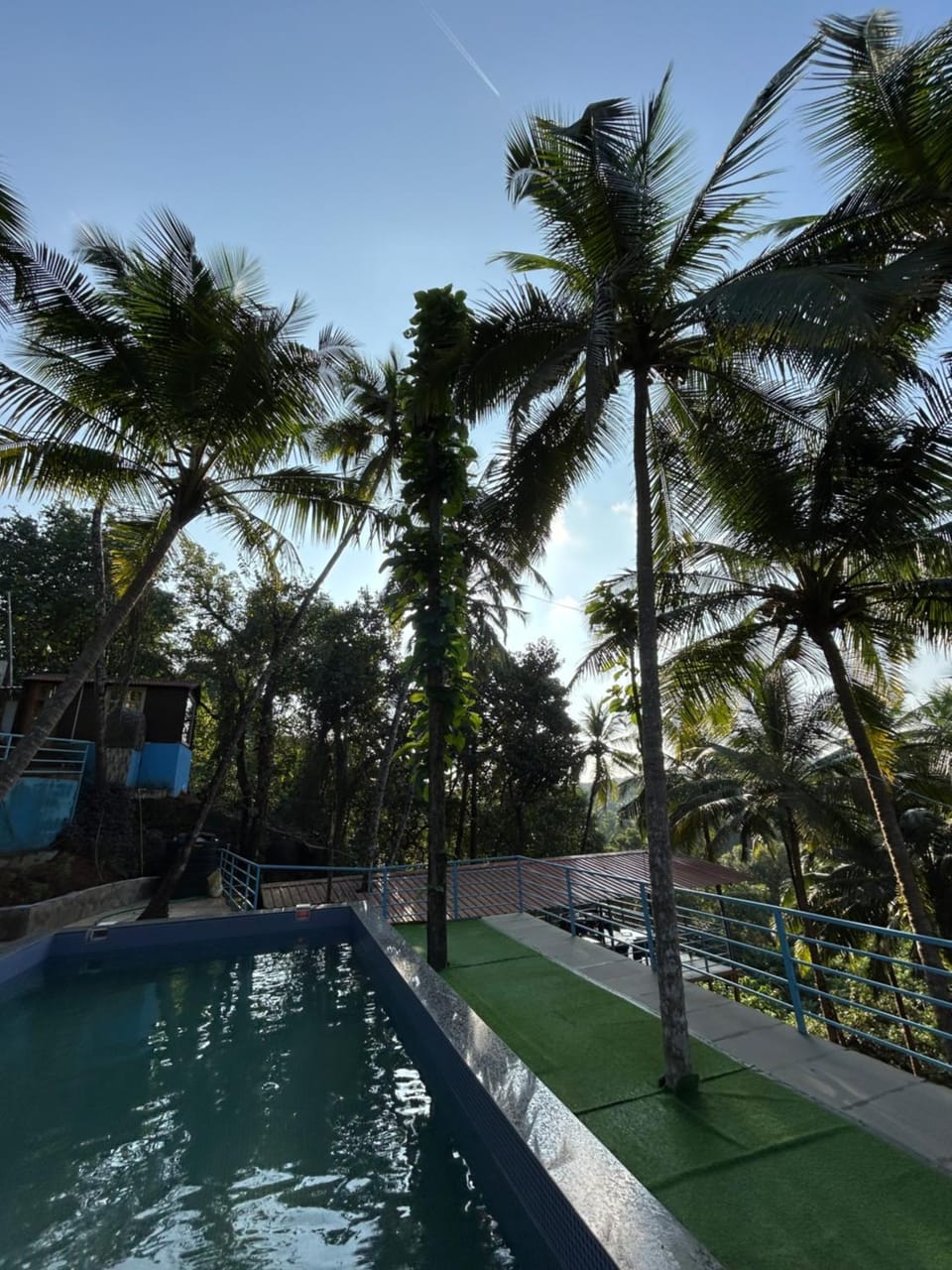 Mountain Breeze Wooden Cottages Bed and Breakfast in Agonda