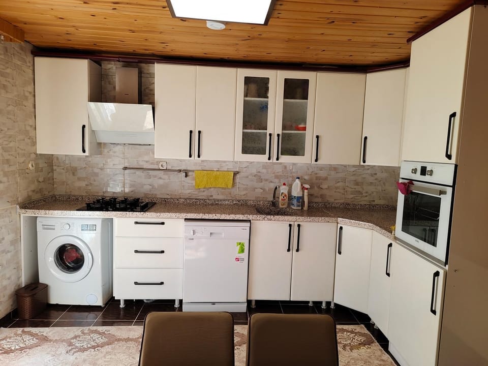 Kitchen or kitchenette, dishwasher, oven, stove, washing machine