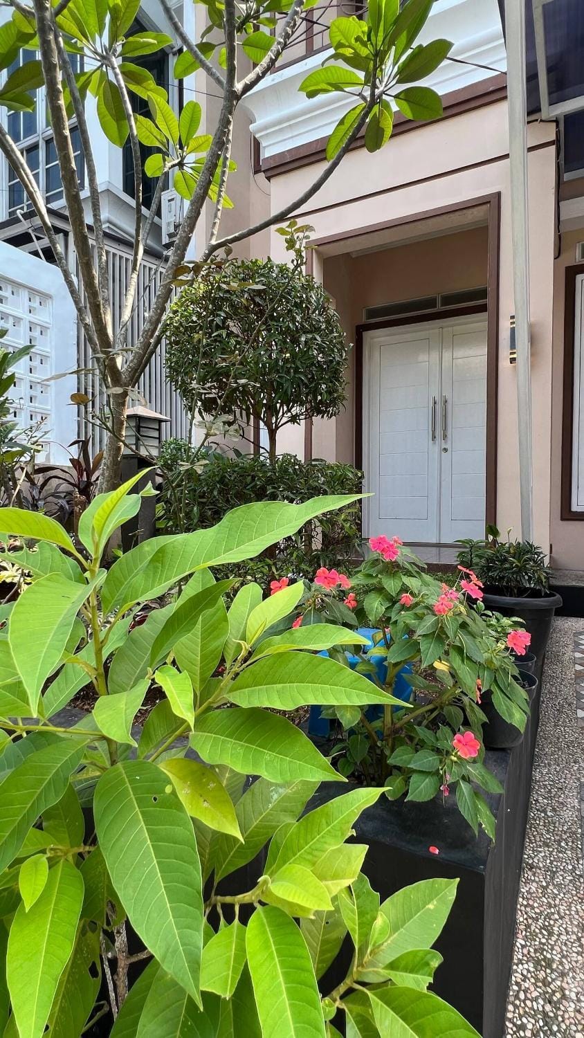 Property building, Garden