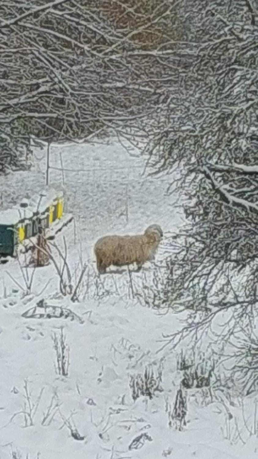 Natural landscape, Winter