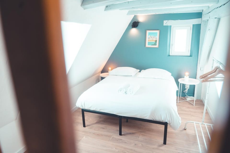 Le Nid dAigle - Spacieux logement sous les toits Apartment in Saint-Cyr-sur-Loire