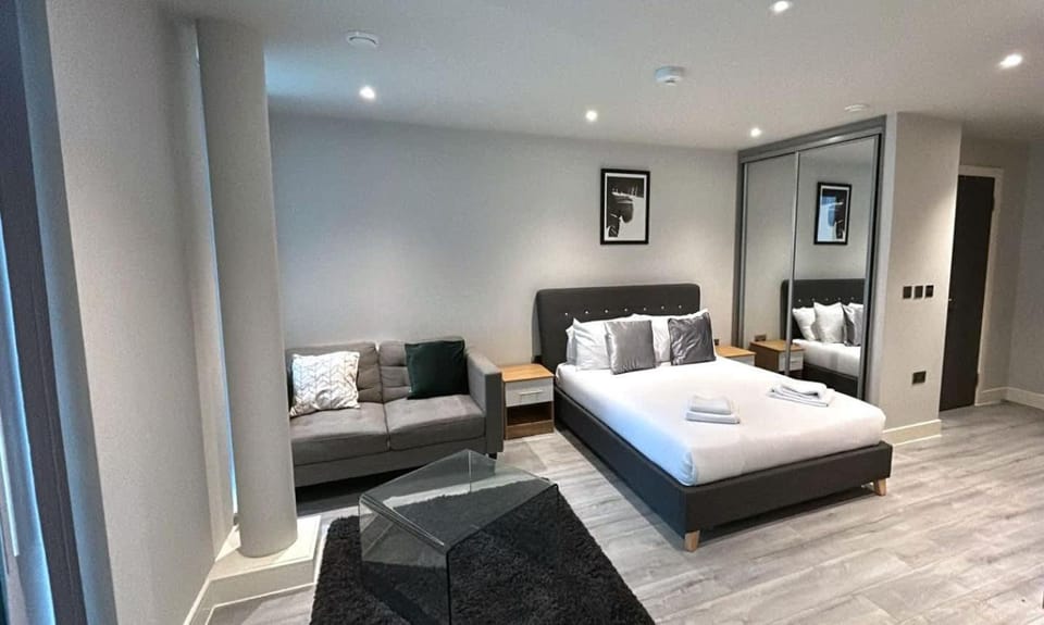 Bed, Living room, Photo of the whole room, Seating area, Bedroom