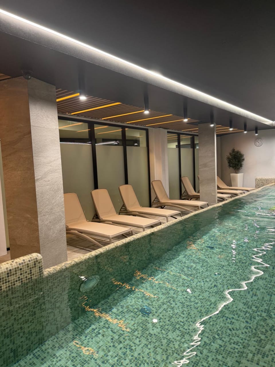 Swimming pool, Swimming pool
