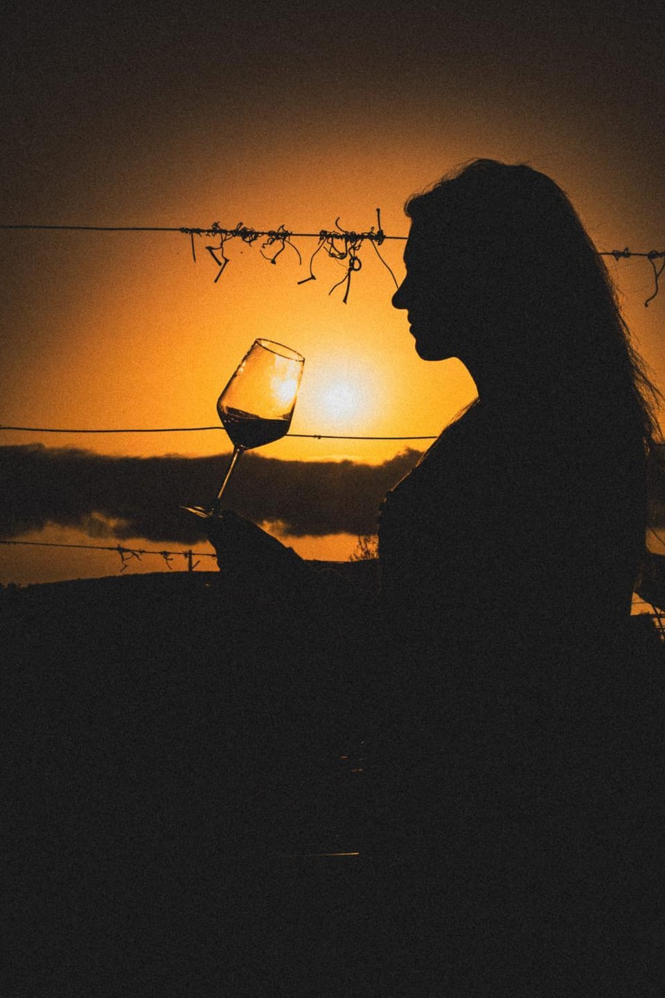 People, Guests, Sunset