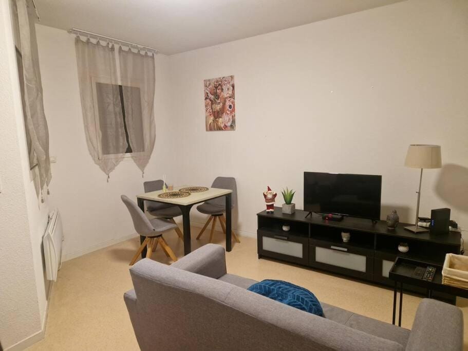 T2 avec clim parking prive wifi tout équipe Apartment in Occitanie