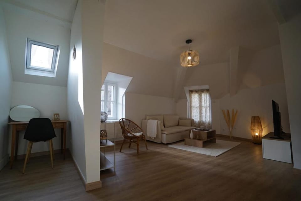 Appartement T3- Centre-ville Apartment in Auvergne-Rhône-Alpes