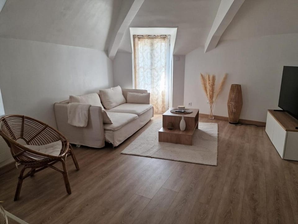 Appartement T3- Centre-ville Apartment in Auvergne-Rhône-Alpes