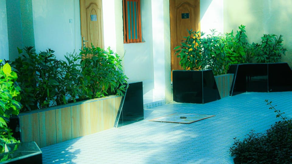 Garden view