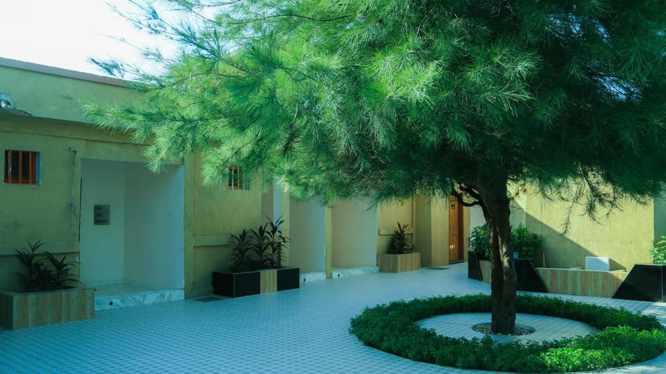 Garden view