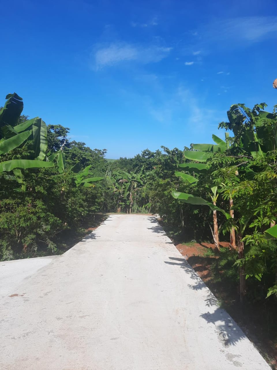 Natural landscape