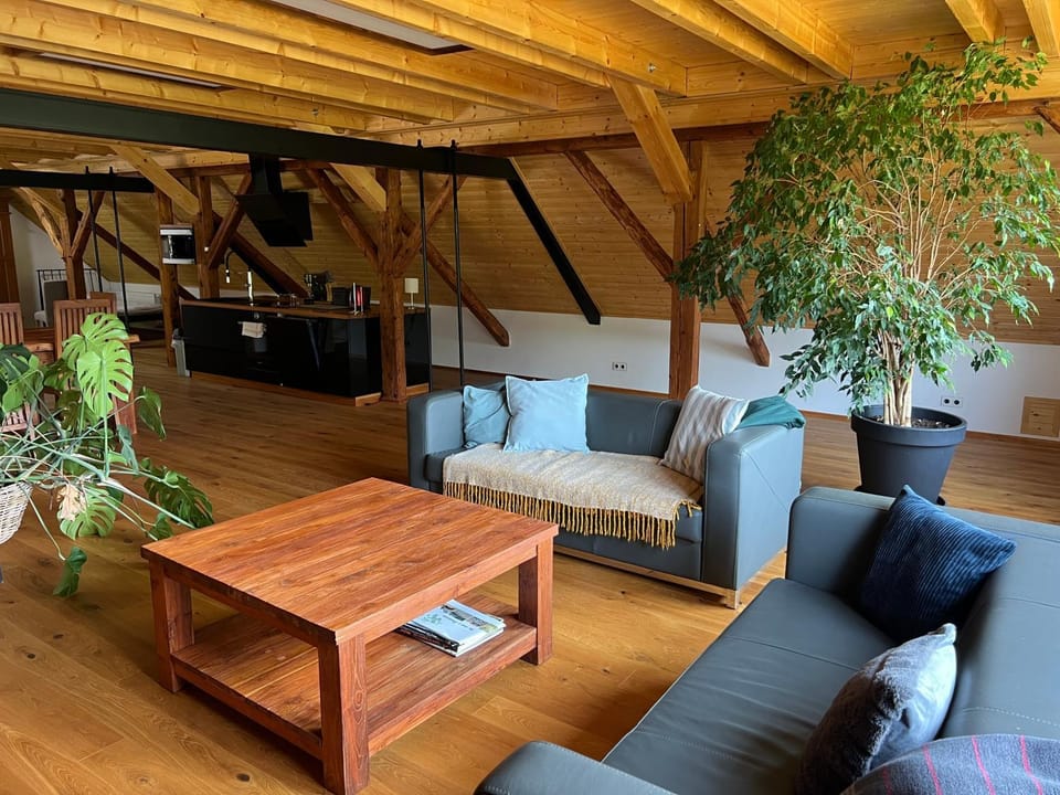 Apartmán typu Loft Apartment in Czechia
