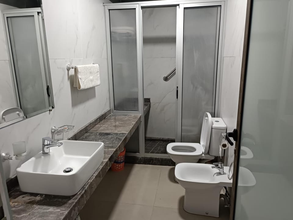 Shower, Toilet, Bathroom, bidet